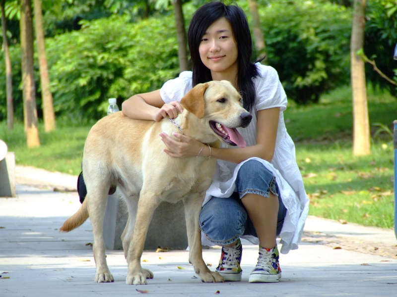 风中的绿叶的第一张照片--新乡相亲服务中心