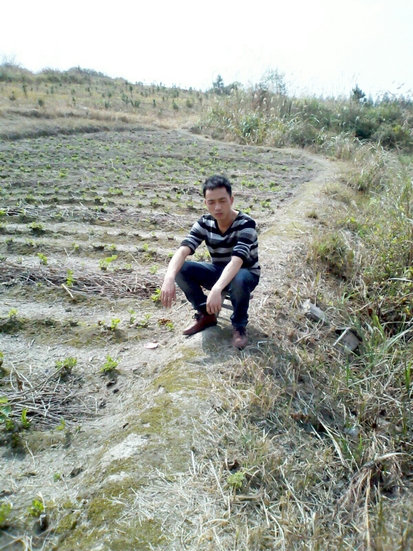 你好的第一张照片--新乡相亲服务中心