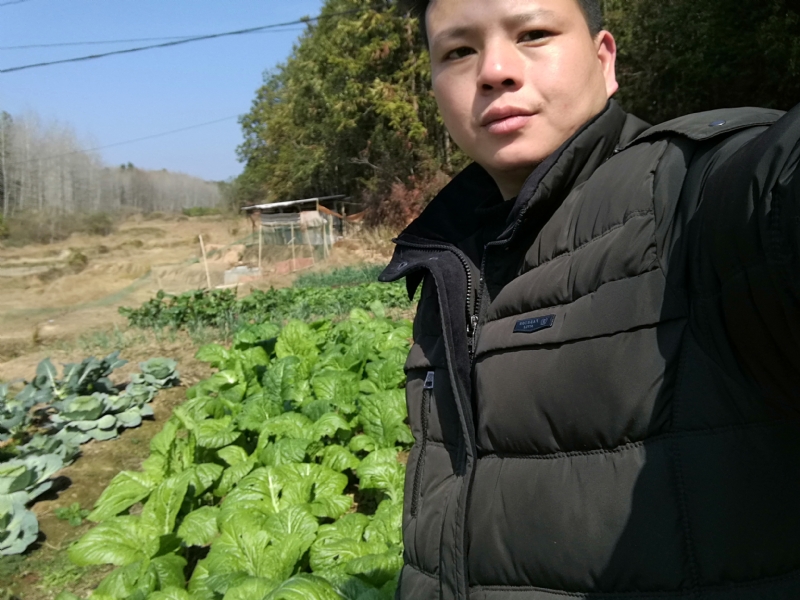 倔强的驴的第一张照片--新乡相亲服务中心