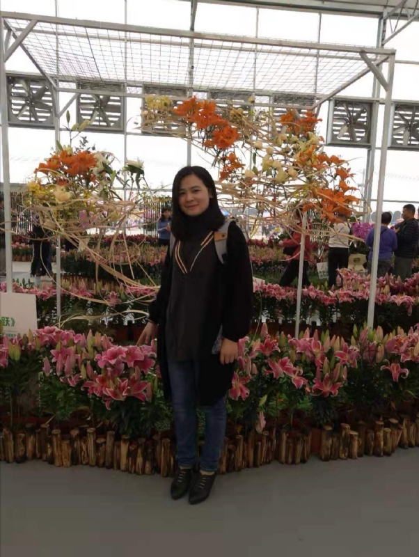 紫苏的第一张照片--新乡相亲服务中心