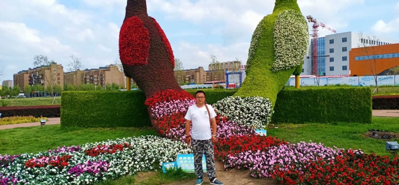 尘埃的第一张照片--新乡相亲服务中心