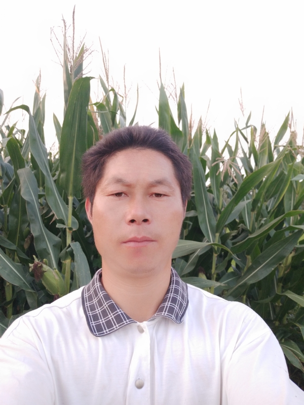 四海游龙的第二张照片--新乡相亲服务中心