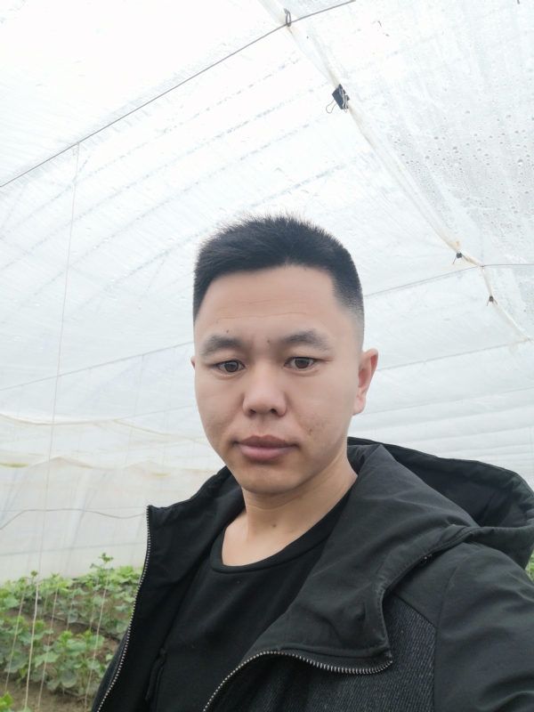 宇成的第二张照片--新乡相亲服务中心