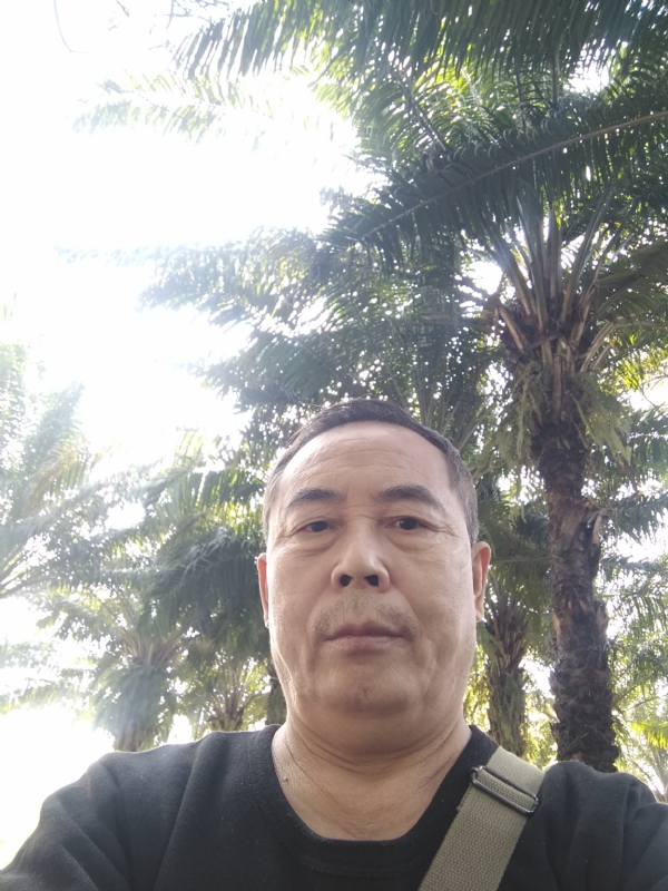 重振雄风的第二张照片--新乡相亲服务中心