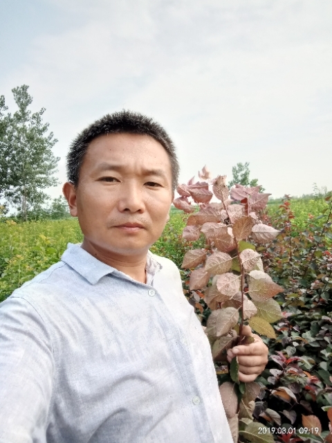 孩子爸的第一张照片--新乡相亲服务中心