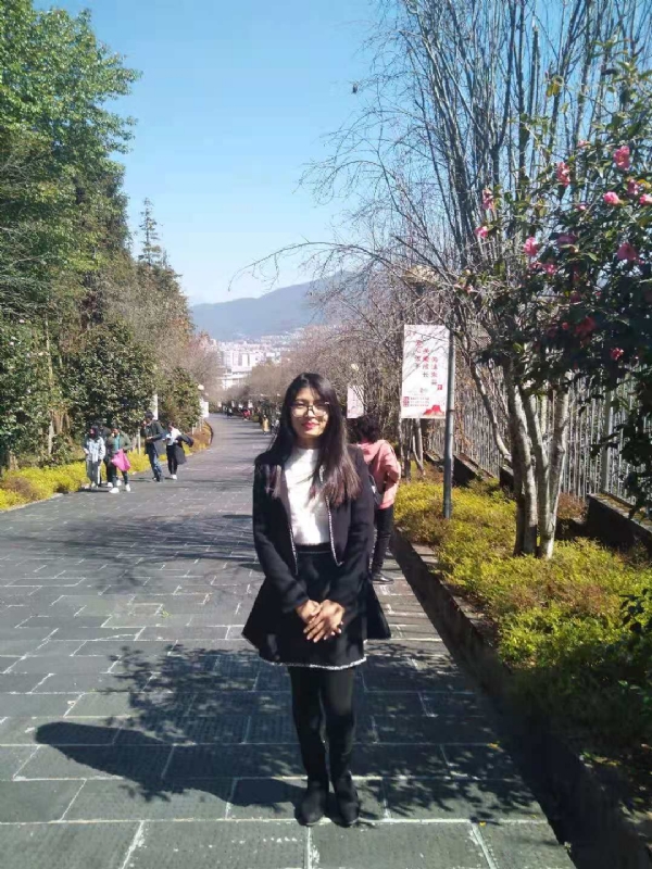 窗台上的桔梗的第一张照片--新乡相亲服务中心