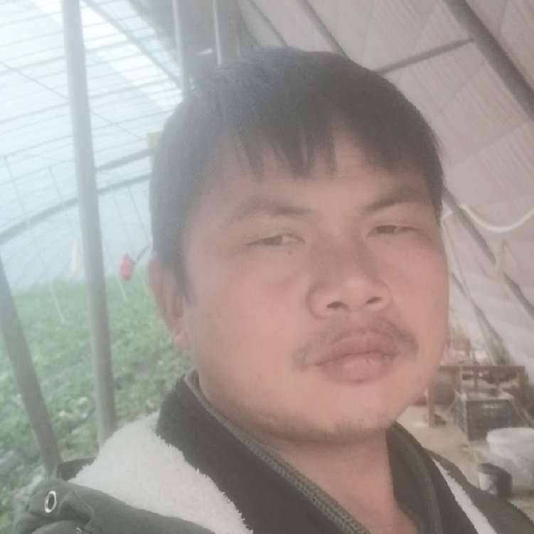 孤狼‘的第一张照片--新乡相亲服务中心