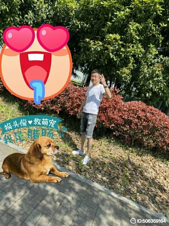 我若不坚强谁替我勇敢的第一张照片--新乡相亲服务中心