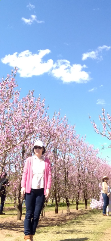 Grace的第二张照片--新乡相亲服务中心