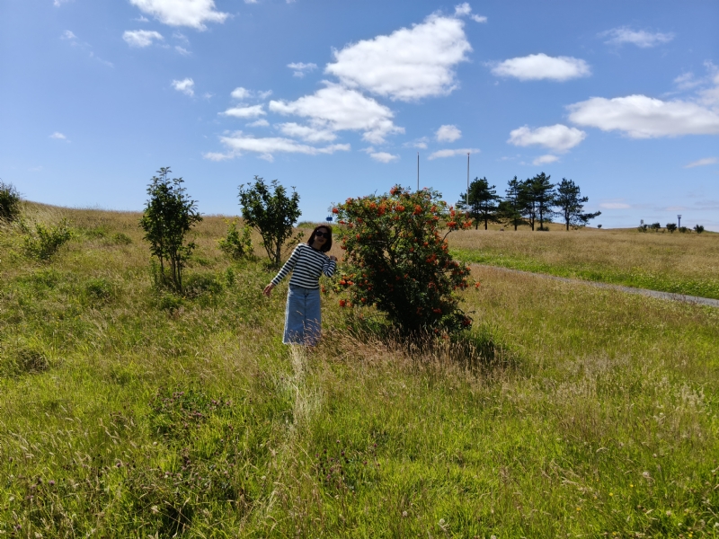 秋蝉的第一张照片--新乡相亲服务中心