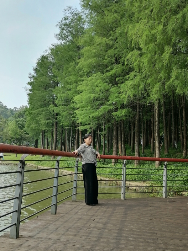 遗失的记忆的第二张照片--新乡相亲服务中心