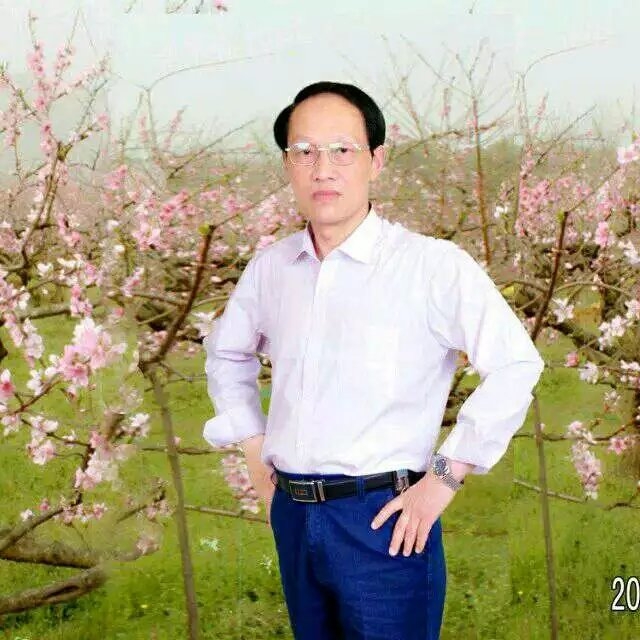 枫叶的第一张照片--新乡相亲服务中心