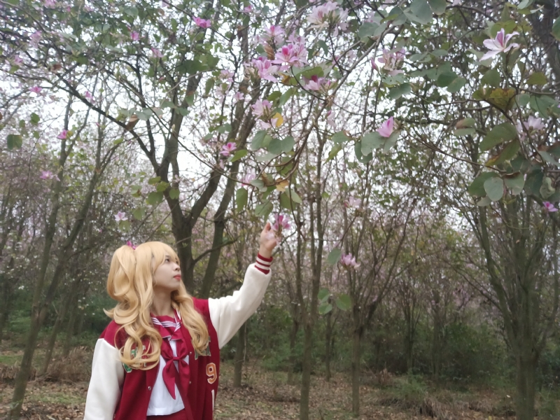 暮秋的第一张照片--新乡相亲服务中心