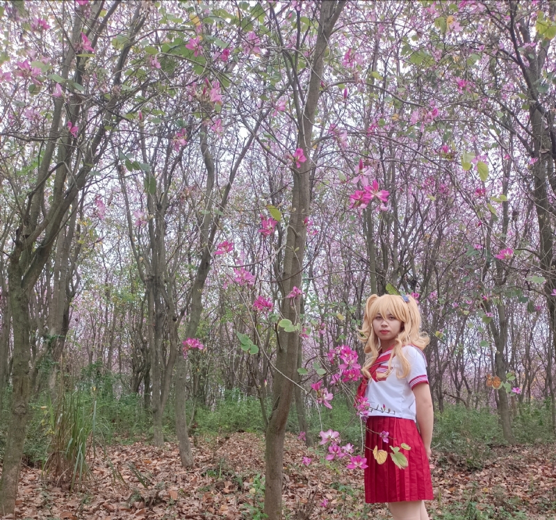 暮秋的第四张照片--新乡相亲服务中心