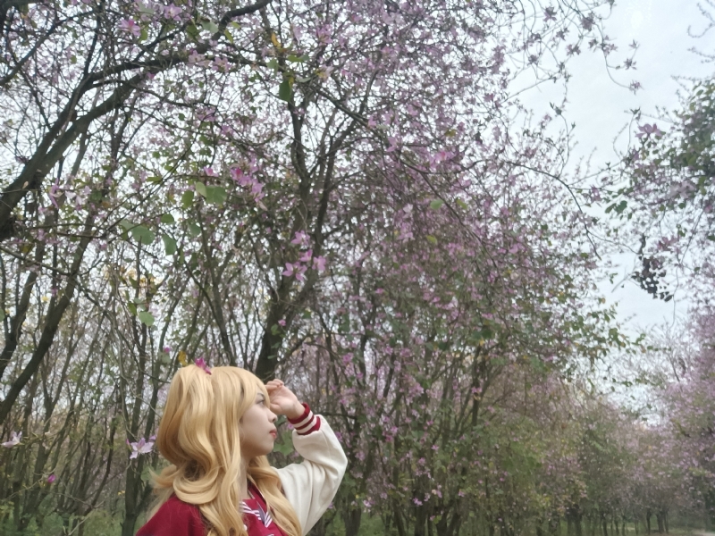 暮秋的第五张照片--新乡相亲服务中心