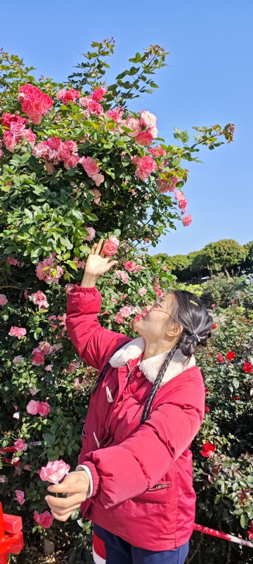 狗狗的第一张照片--新乡相亲服务中心